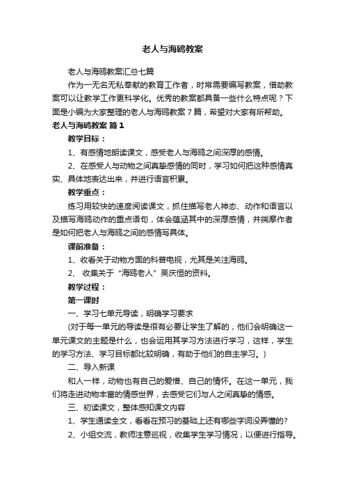 老人与海鸥教案汇总七篇