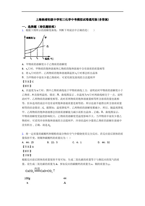 上海杨浦初级中学初三化学中考模拟试卷通用版(含答案)