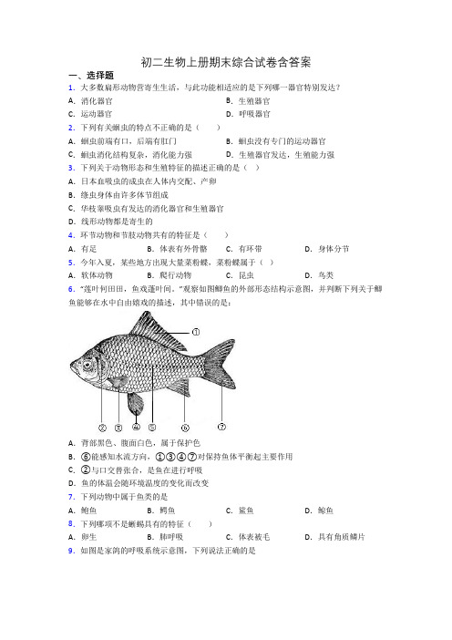 初二生物上册期末综合试卷含答案