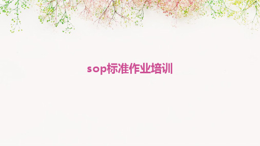 SOP标准作业培训