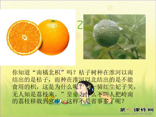 生物生存的环境ppt(苏科版七上)PPT课件