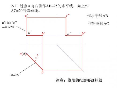 画几习题答案(动画)2