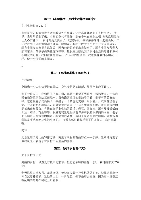 关于乡村的作文200字