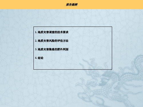 地质灾害调查技术要求和灾害风险评估