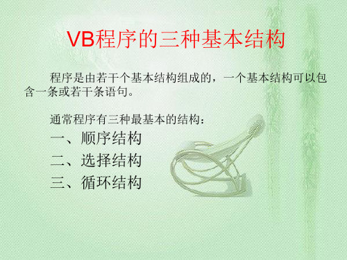 vb的三种基本结构PPT教学课件