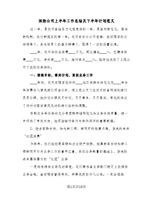 保险公司上半年工作总结及下半年计划范文(二篇)