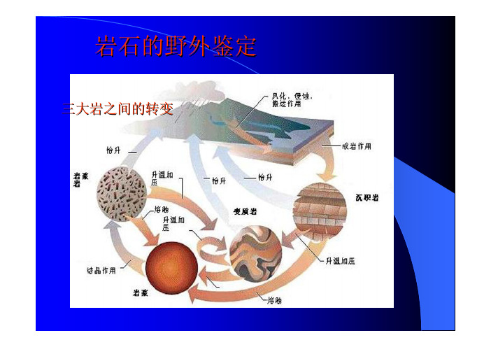 沉积岩野外鉴定