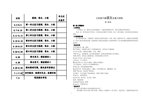 人教版七年级下册语文总复习资料(大全)