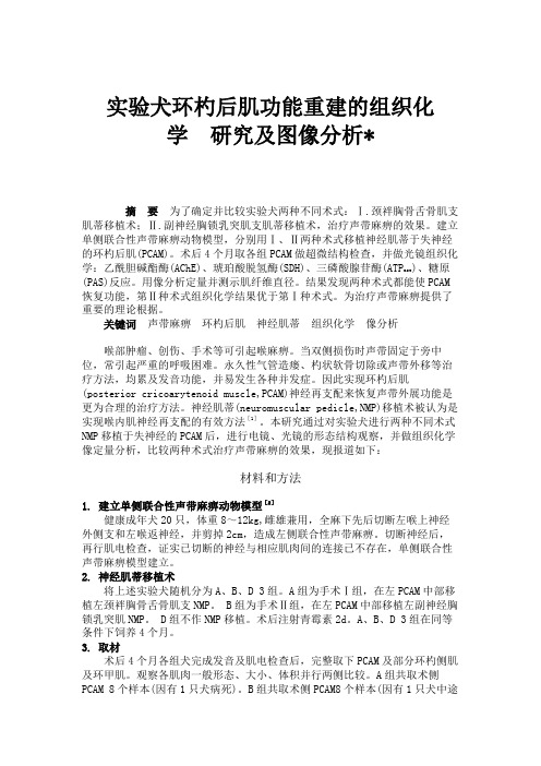 实验犬环杓后肌功能重建的组织化学研究及图像分析解读