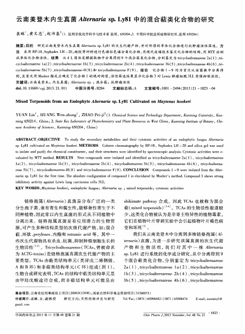 云南美登木内生真菌Alternariasp.Ly81中的混合萜类化合物的研究