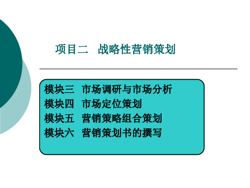 战略性营销策划