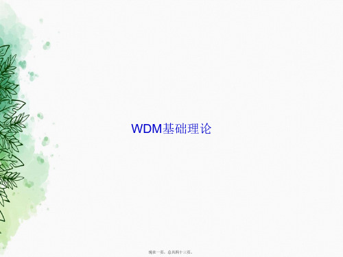 WDM基础理论讲课文档