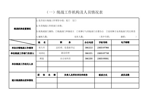 统战信息统计表