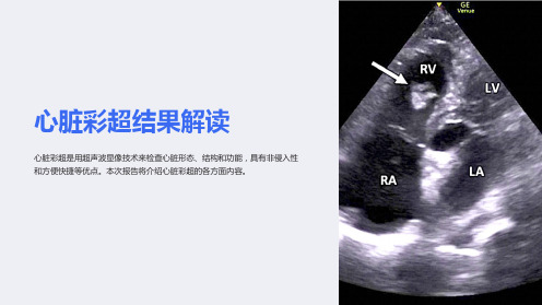 心脏彩超结果解读