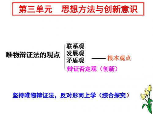 2017树立创新意识是唯物辩证法的要求ppt