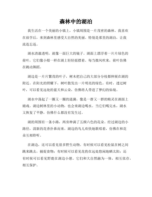 小学三年级作文这儿真美范文森林中的湖泊