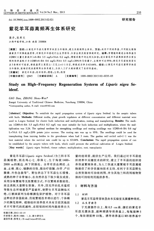 紫花羊耳蒜高频再生体系研究