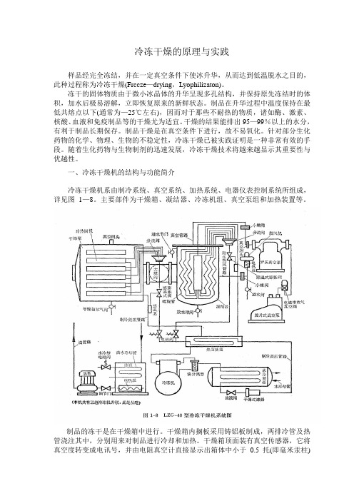 冷冻干燥的原理与实践