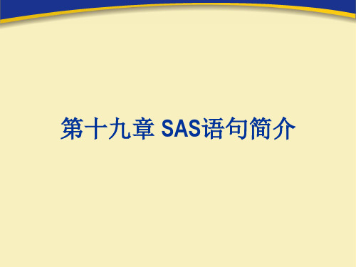 第19章SAS语句简介