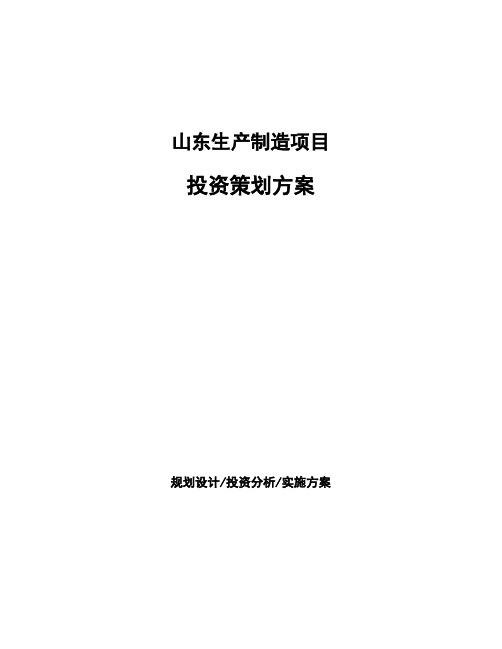 山东生产制造项目投资策划方案