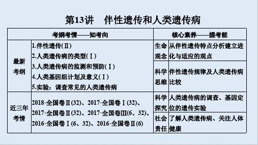 2020版生物高考新素养总复习中图版课件：第13讲 伴性遗传和人类遗传病 