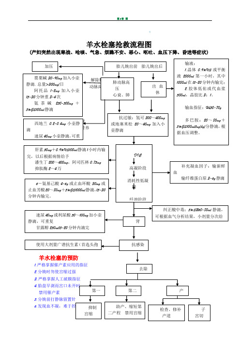 图羊水栓塞抢救流程图