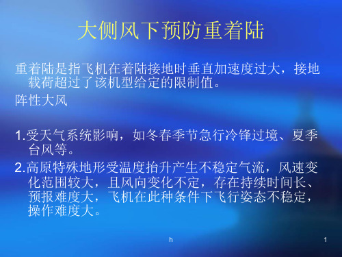 雷击、大风对飞行影响及应对措施