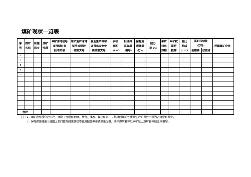 煤矿资源整合相关表格