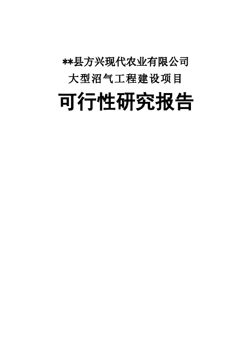 某沼气公司大型沼气工程建设项目可行性研究投资分析报告