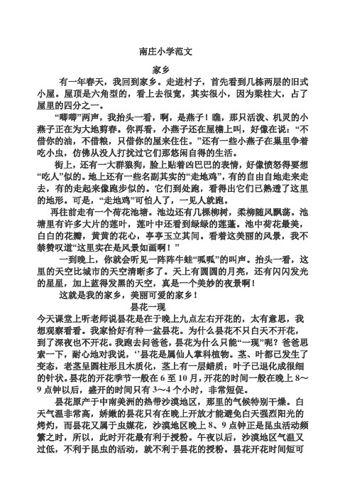 四年级语文上册作文总复习范文