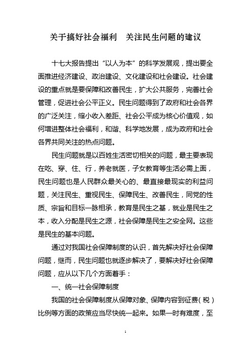 关于搞好社会福利  关注民生问题的建议