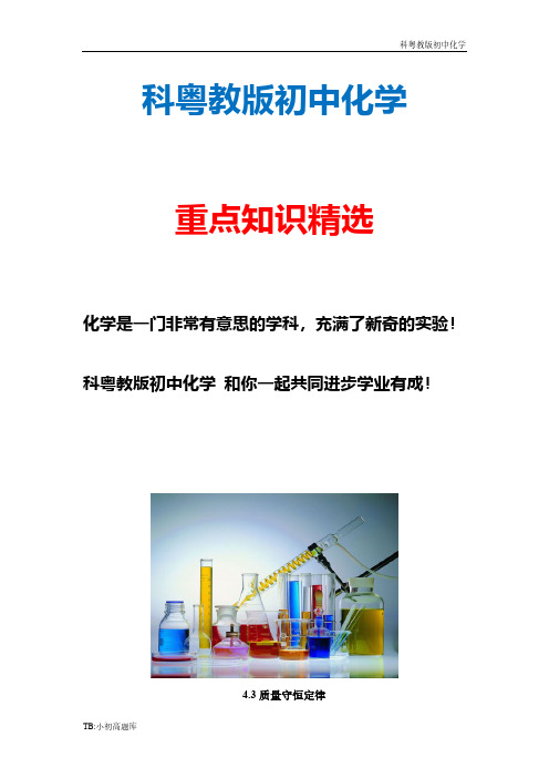 科粤教版初中化学九年级全册《质量守恒定律》参考教案新版精选汇总