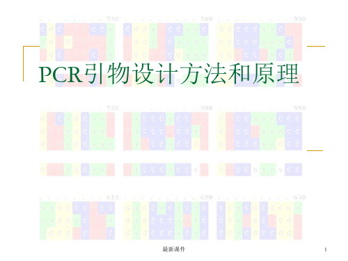 PCR引物设计方法和原理PPT课件