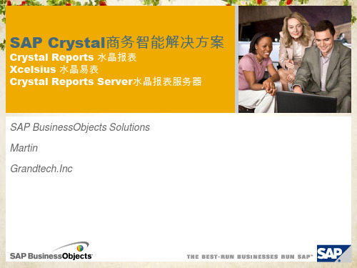 SAP Crystal商务智能解决方案(ppt 35页)