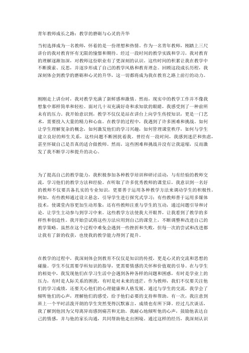 青年教师成长之路：教学的磨砺与心灵的升华