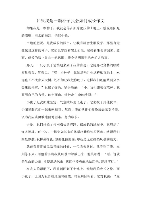 如果我是一颗种子我会如何成长作文