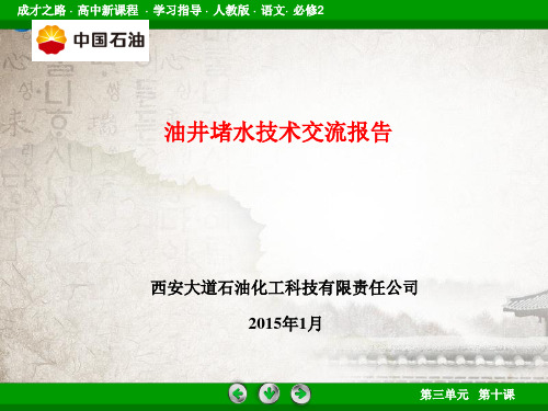 油井堵水汇报材料PPT课件