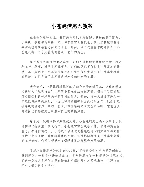 小苍蝇借尾巴教案