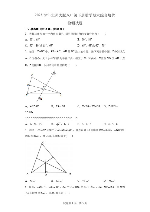 2022—2023学年北师大版八年级下册数学期末综合培优检测试题