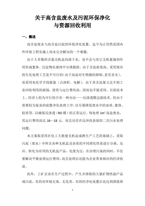 关于高含盐废水及污泥环保净化与资源回收利用