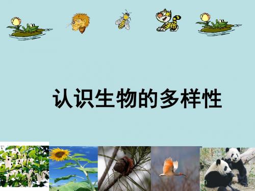 【人教版】初中生物八年级上册第六单元第二章 认识生物的多样性(共23张ppt)