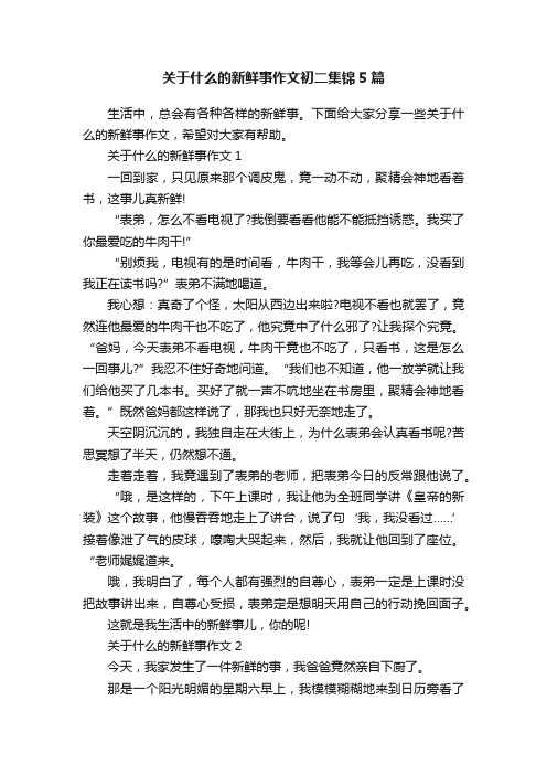 关于什么的新鲜事作文初二集锦5篇