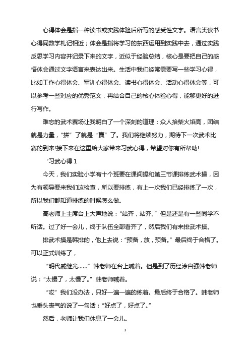 2022精选习武心得6篇word版