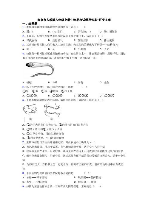 南京市人教版八年级上册生物期末试卷及答案-百度文库