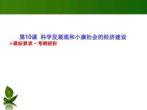 《高考调研》高考政治(新课标)一轮总复习配套课件必修一10