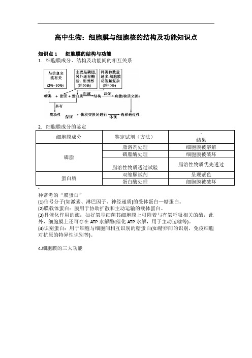 高中生物：细胞膜与细胞核的结构及功能知识点