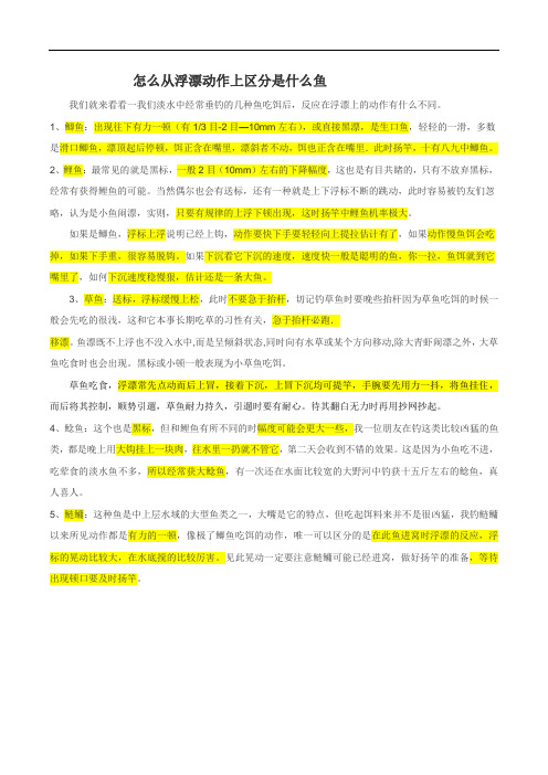 怎么从浮漂动作上区分是什么鱼