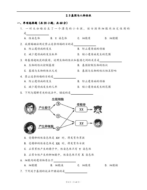 沪科版生物第一册一课一练2.3基因与人体性状(word版,含答案解析)