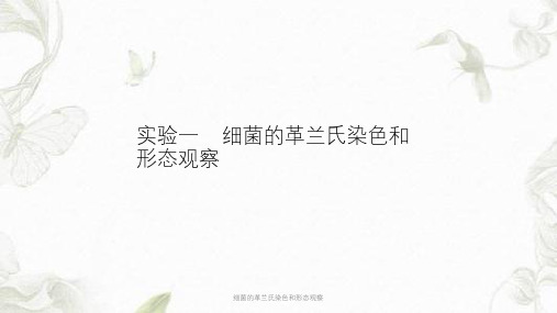 细菌的革兰氏染色和形态观察ppt课件