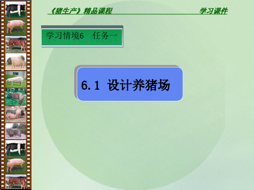 猪生产精品课程.